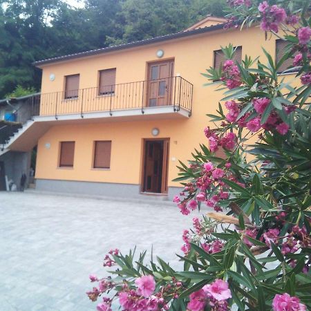 Apartmaji Matazin Črni Kal Exteriör bild