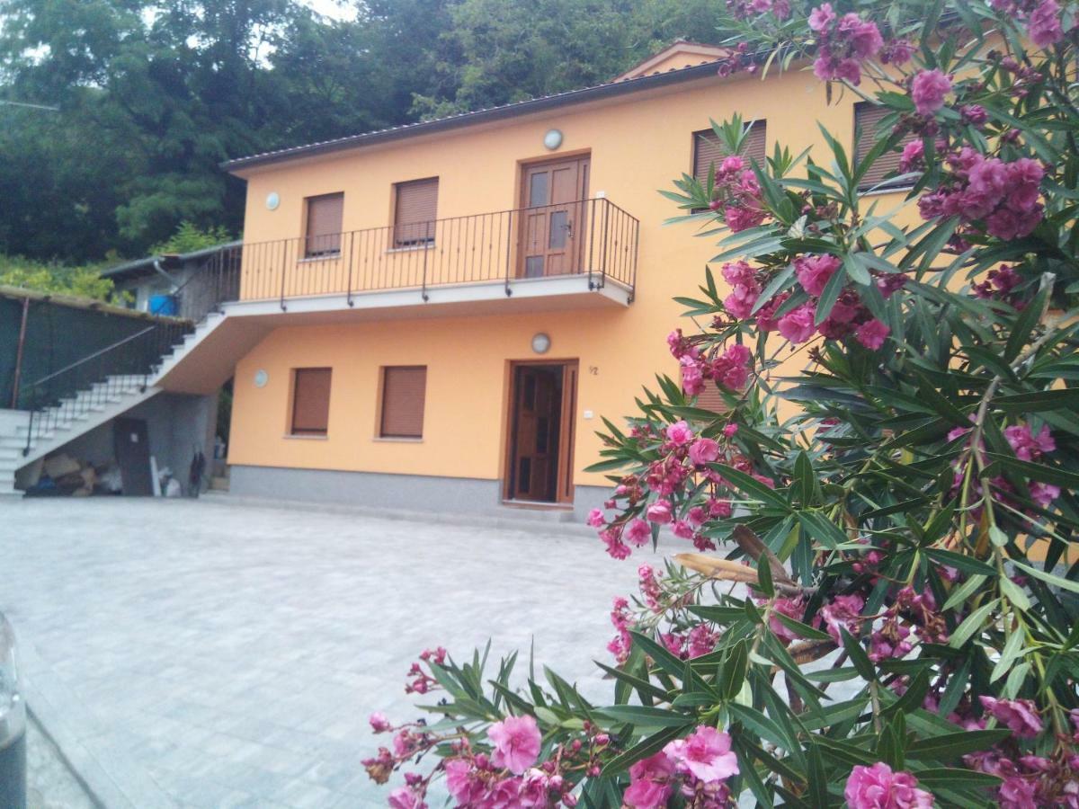 Apartmaji Matazin Črni Kal Exteriör bild